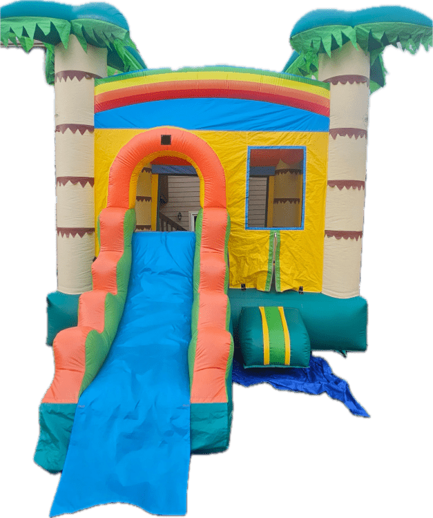Palm Tree Bounce House Combo