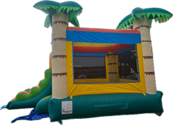 Palm20Tree20Bounce20House202 1744502542 Palm Tree Bounce House Combo