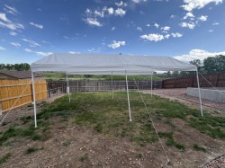 10 x 20 Tent